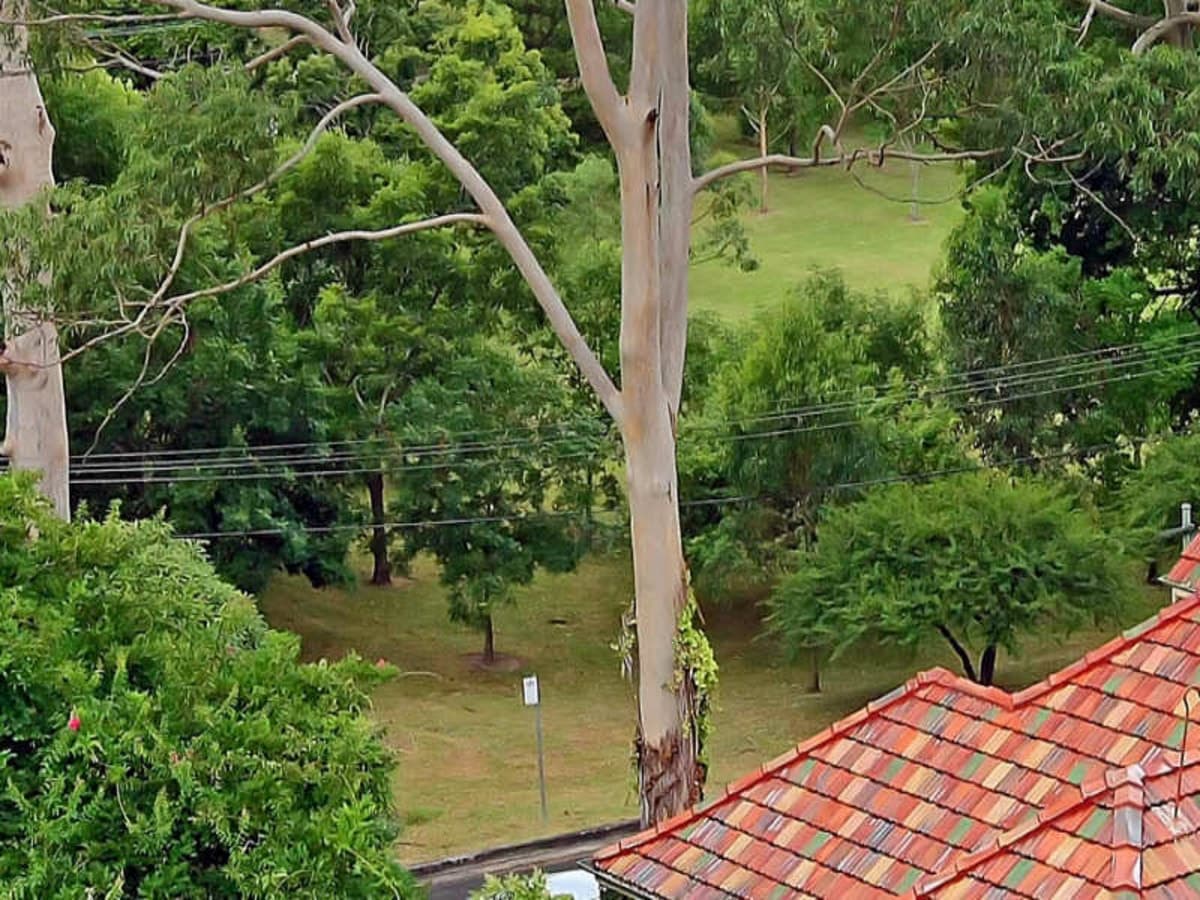 8/1039 Pacific Highway, PYMBLE, Pymble - Thumbnail 2