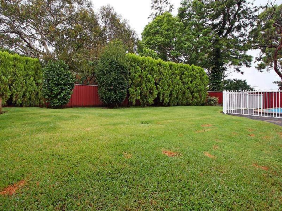 103 Grosvenor Street, WAHROONGA, Wahroonga - Thumbnail 3