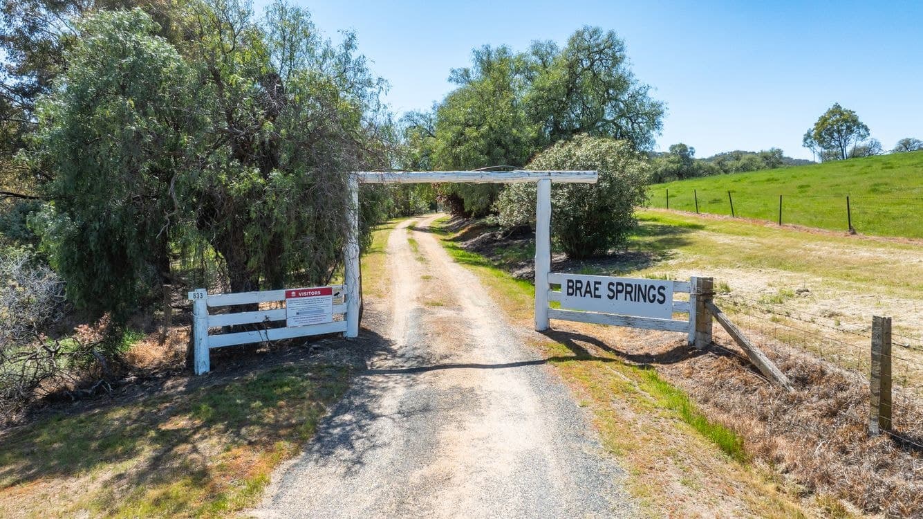 833 Walla Walla Jindera Road, WALLA WALLA, NSW 2659, Walla Walla - Thumbnail 2