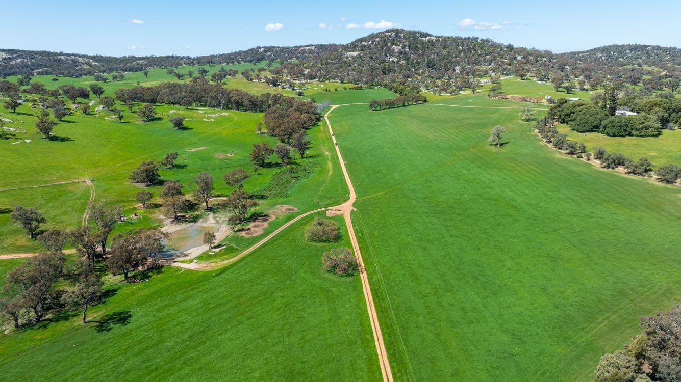 833 Walla Walla Jindera Road, WALLA WALLA, NSW 2659, Walla Walla - Thumbnail 4