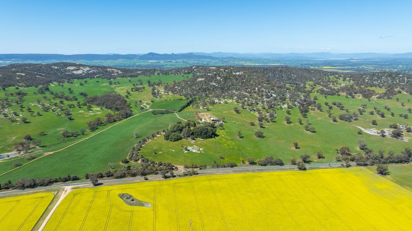 833 Walla Walla Jindera Road, WALLA WALLA, NSW 2659, Walla Walla - Thumbnail 5