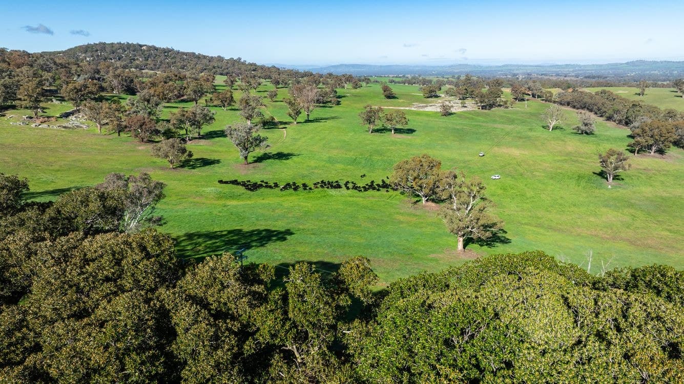 833 Walla Walla Jindera Road, WALLA WALLA, NSW 2659, Walla Walla - Thumbnail 6