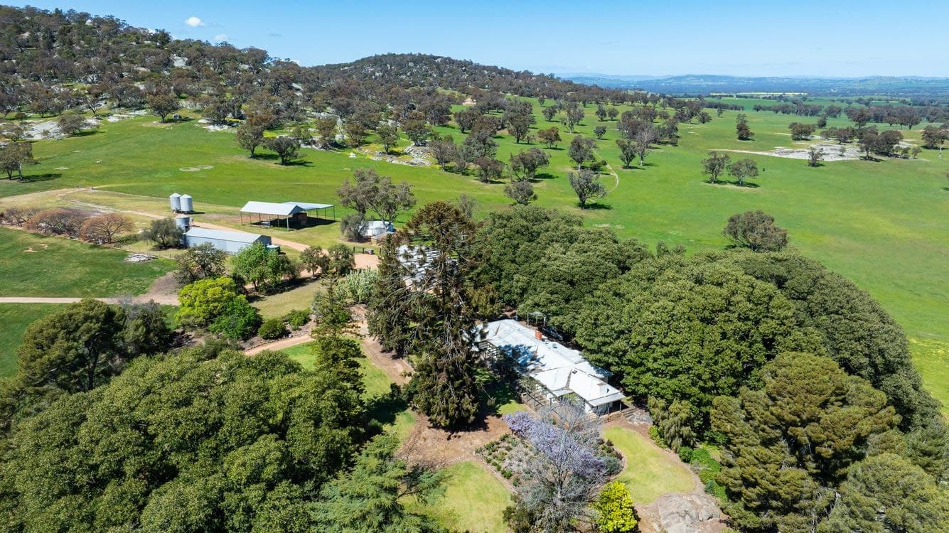833 Walla Walla Jindera Road, WALLA WALLA, NSW 2659, Walla Walla - Thumbnail 7
