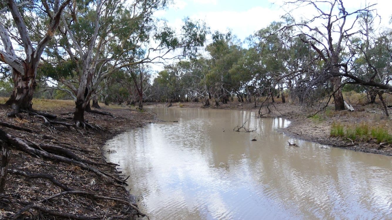 WARREN NSW, Warren - Image 1