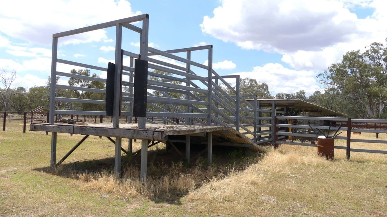 WARREN NSW, Warren - Thumbnail 6