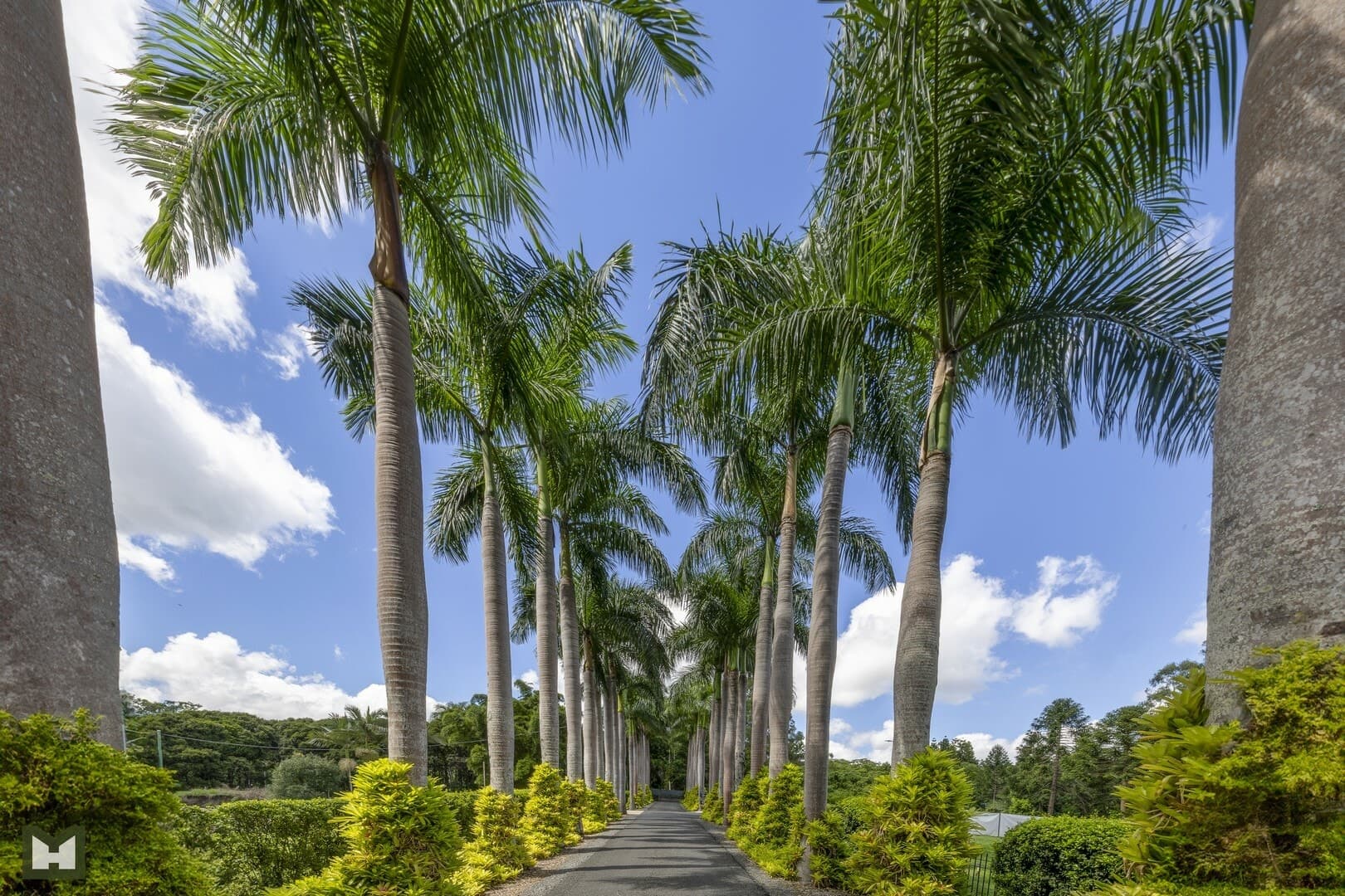 20 Rifle Range Rd, Palmwoods, Palmwoods - Thumbnail 6