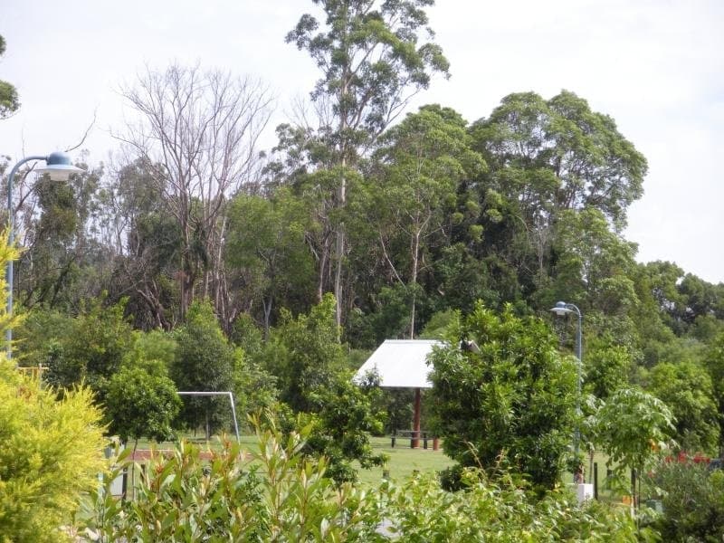 18 Rangeleigh Ct, Palmwoods, Palmwoods - Thumbnail 8