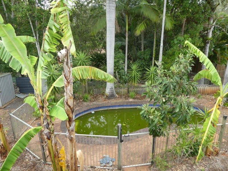 4 IRENE PLACE, Palmwoods, Palmwoods - Thumbnail 4
