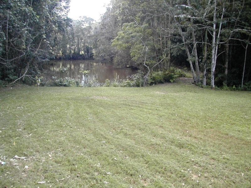 43 Bamboo Road, Palmwoods, Palmwoods - Thumbnail 4