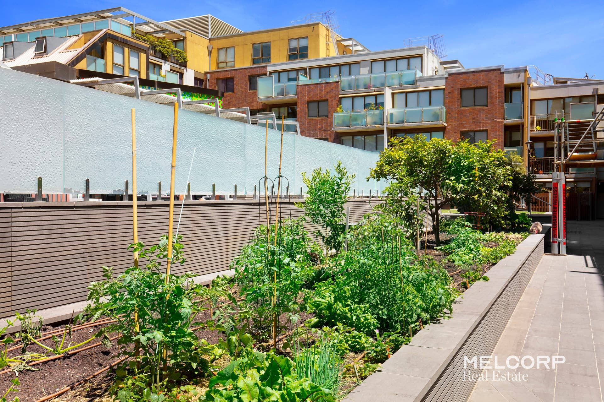 13/300 Young Street, Fitzroy, VIC 3065, Fitzroy - Thumbnail 7