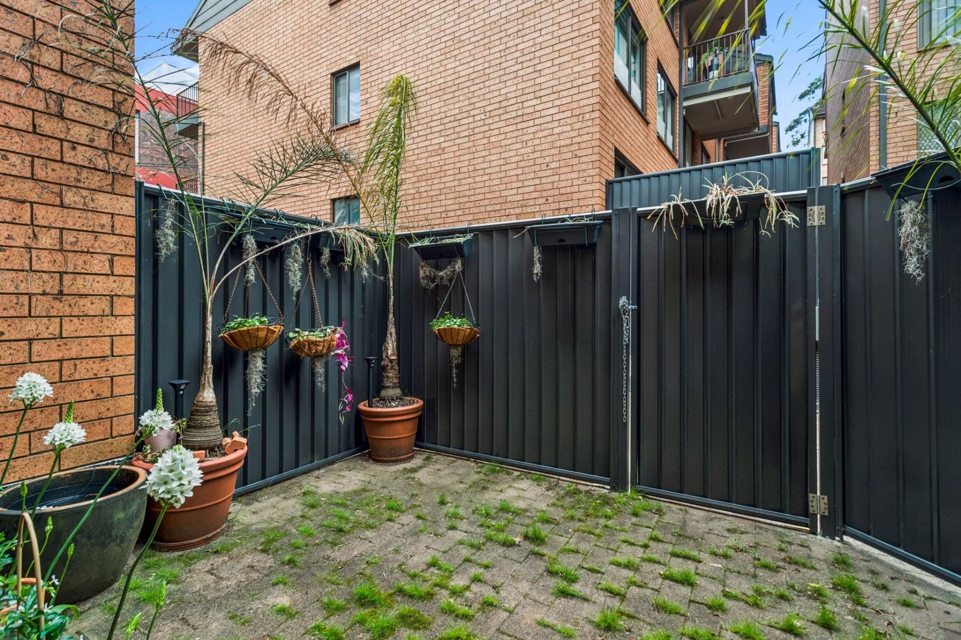 6/492-500 Elizabeth Street, Surry Hills, Surry Hills - Image 1