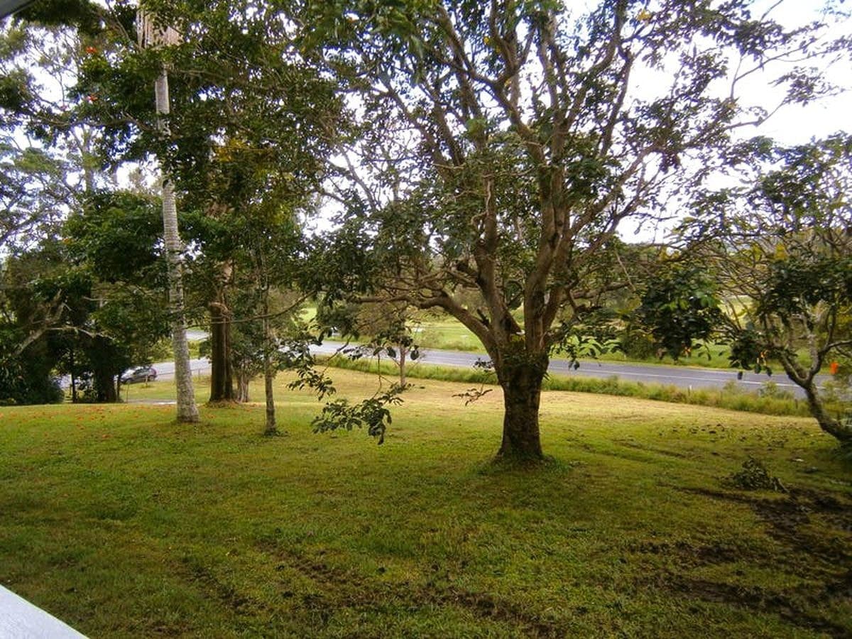 5 Wilsons Creek Road, 5 Wilsons Creek Road - Thumbnail 6