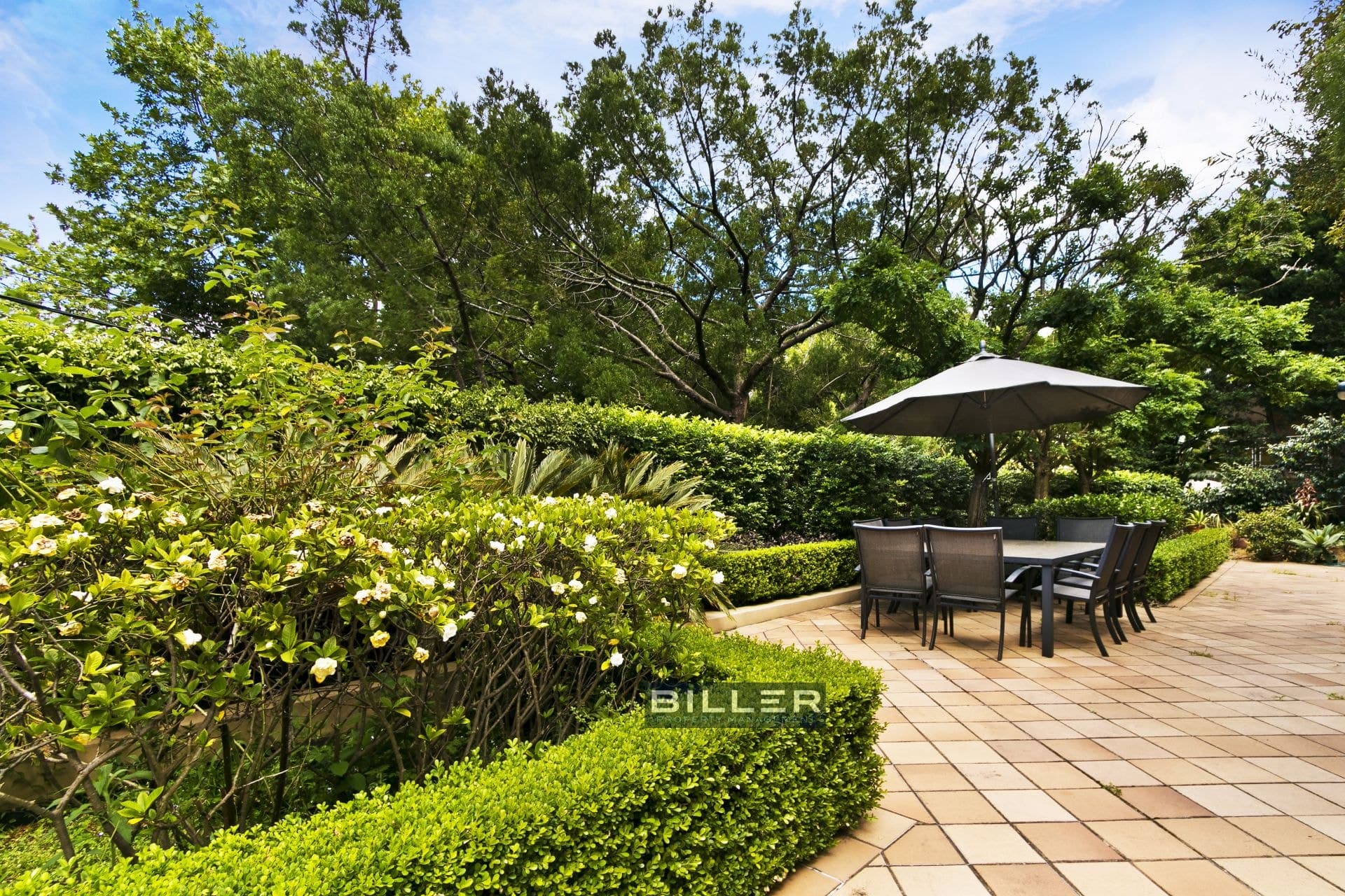 1/6 Carlotta Road, Double Bay, Double Bay - Image 1
