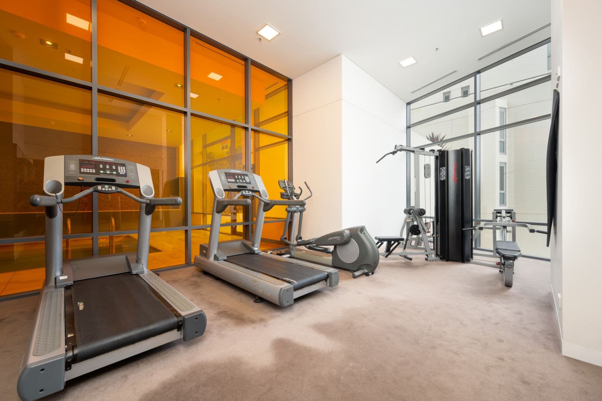 302/1 Cambridge Lane, Chatswood, Chatswood - Thumbnail 7