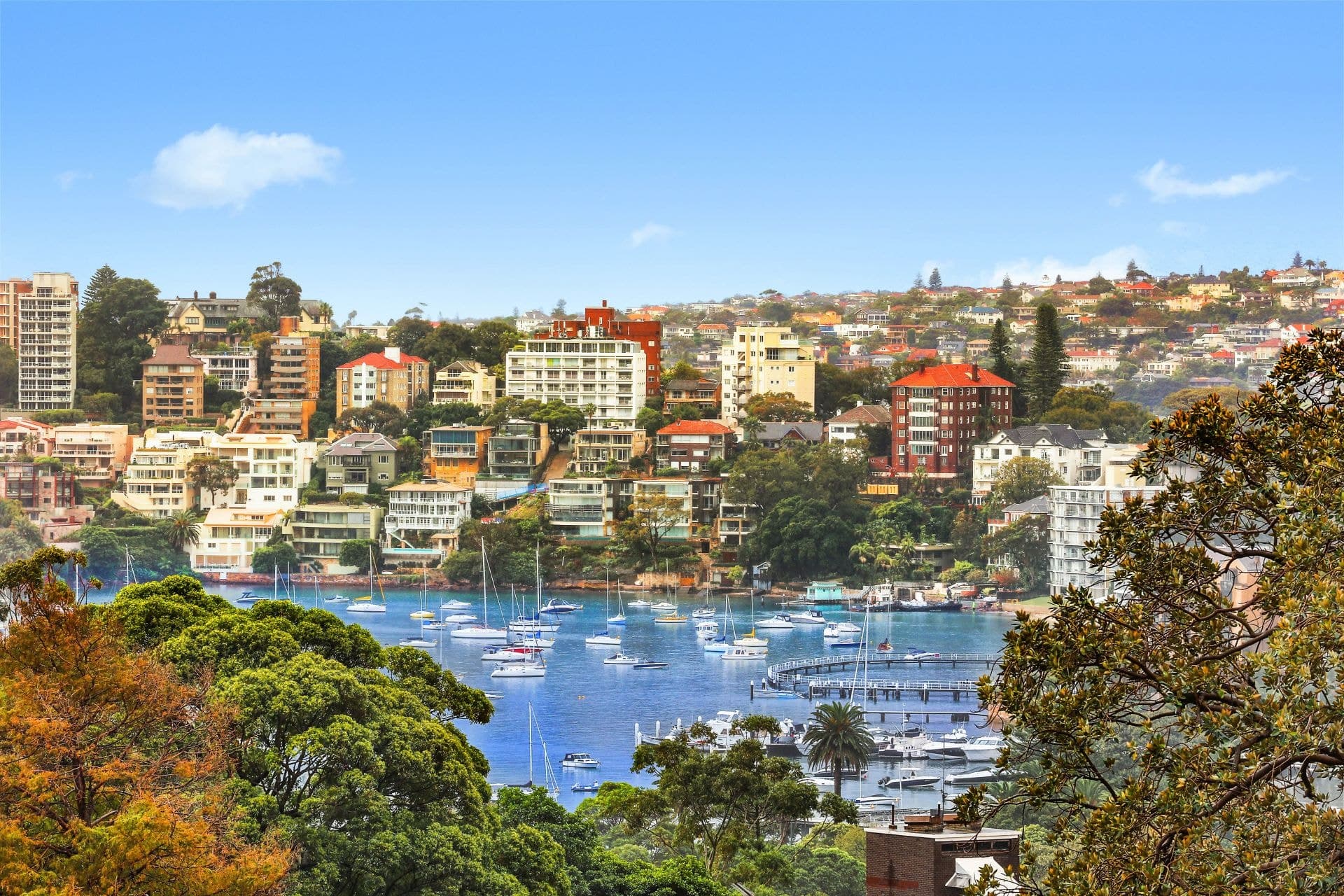 8E/3 Darling Point Road, Darling Point, Darling Point - Thumbnail 6
