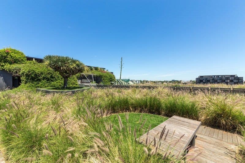 113/320 Harris Street, Pyrmont, Pyrmont - Thumbnail 6