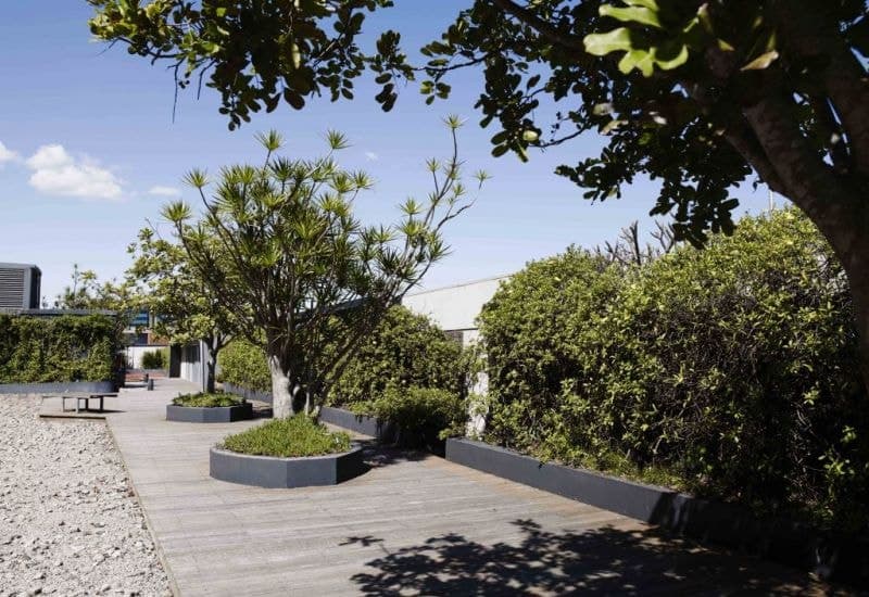 113/320 Harris Street, Pyrmont, Pyrmont - Thumbnail 8