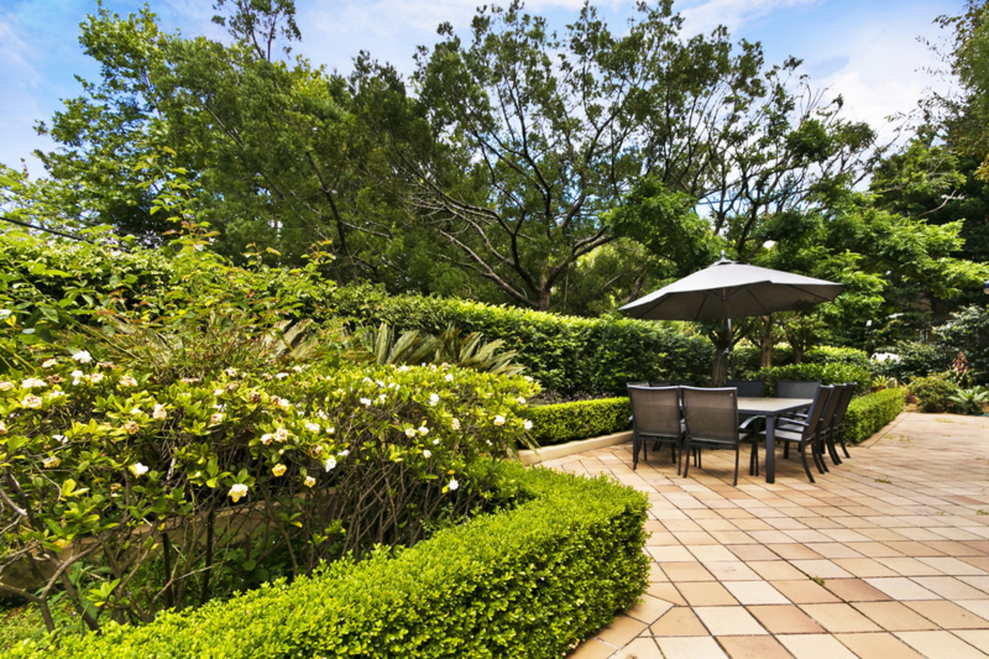 6 Carlotta Road, DOUBLE BAY, Double Bay - Thumbnail 7