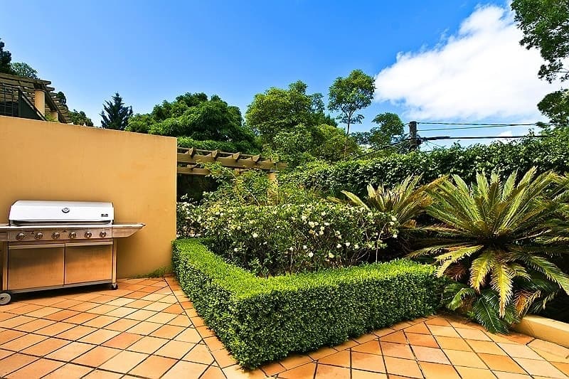 6 Carlotta Road, DOUBLE BAY, Double Bay - Thumbnail 8