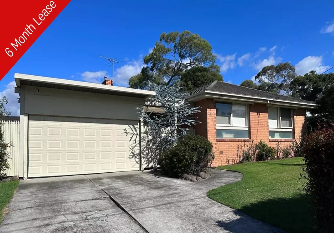 18 Thompson Street, Glen Waverley, VIC, Glen Waverley - Thumbnail 2