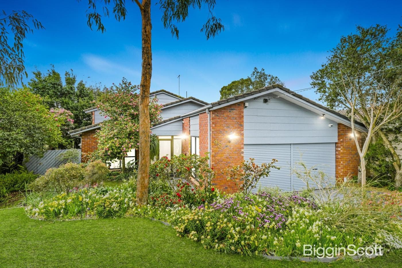 48 Knights Drive, Glen Waverley, VIC, Glen Waverley - Image 1