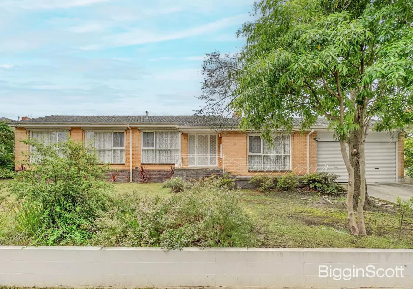 50 Gordon Road, Mount Waverley, VIC, Mount Waverley - Thumbnail 2