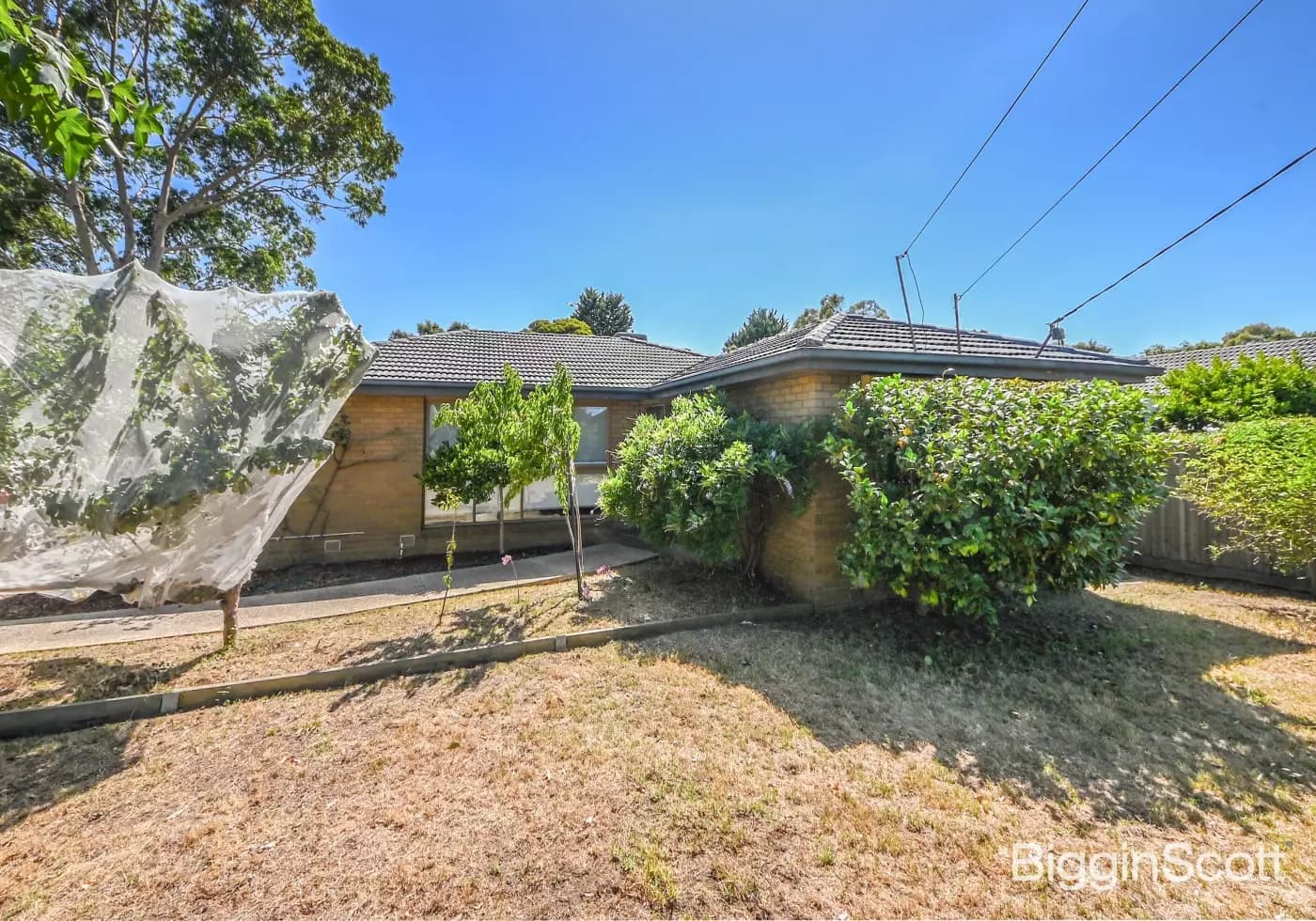 9 Torwood Avenue, Glen Waverley, VIC, Glen Waverley - Thumbnail 2