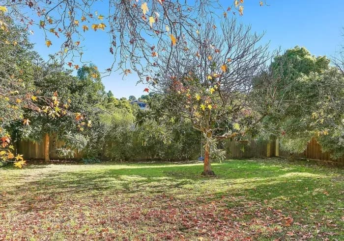 21 Sunhill Road, Mount Waverley, VIC, Mount Waverley - Thumbnail 6