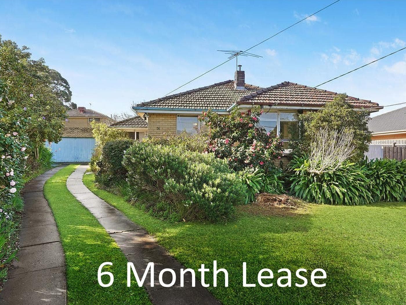 26 Pamay Street, Mount Waverley, VIC, Mount Waverley - Image 1