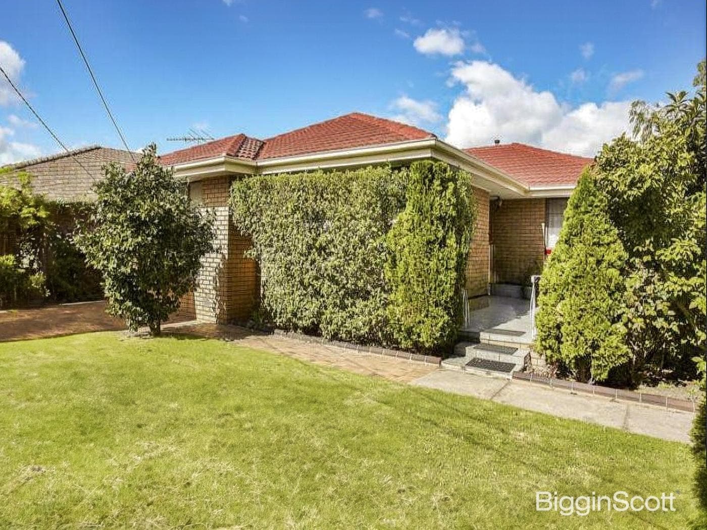 24 Argus Street, Cheltenham, VIC, Cheltenham - Image 1