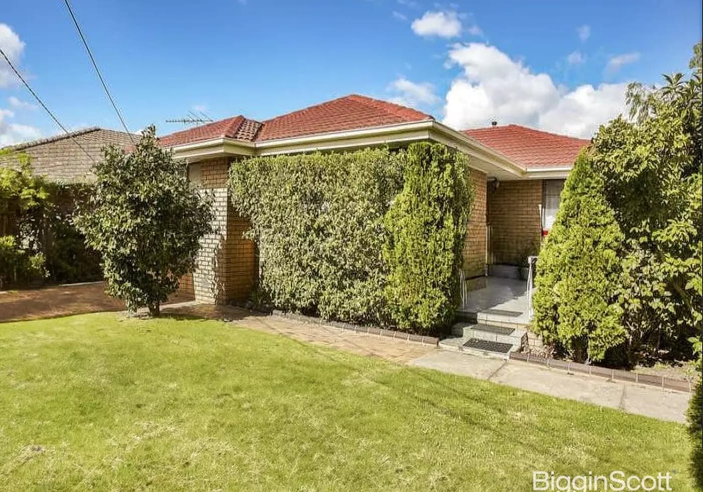 24 Argus Street, Cheltenham, VIC, Cheltenham - Thumbnail 2