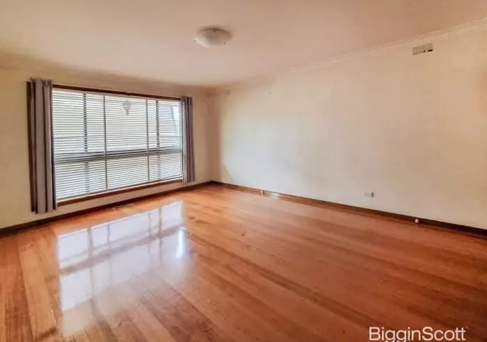 24 Argus Street, Cheltenham, VIC, Cheltenham - Thumbnail 5