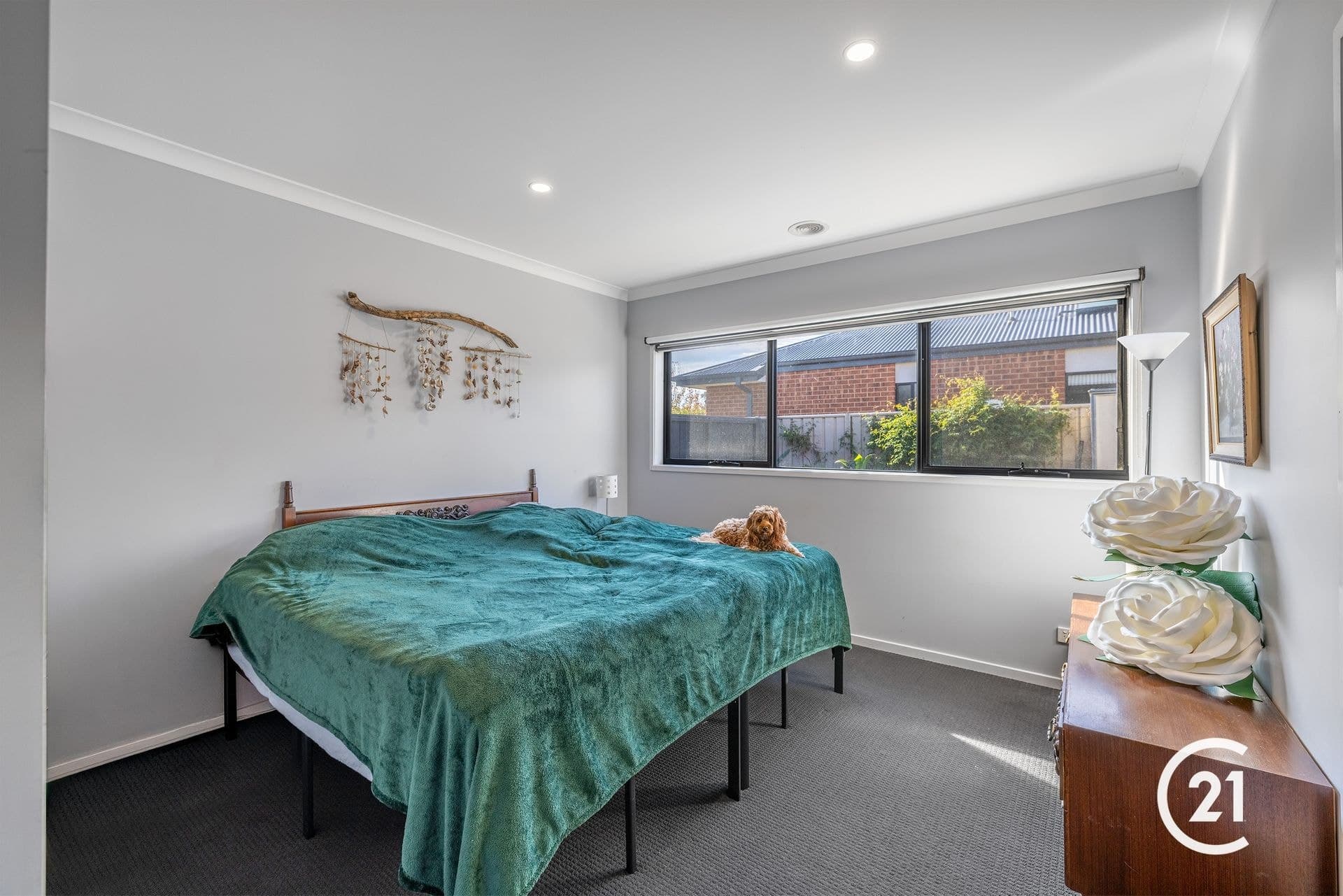 5 Wisteria Street, Echuca, VIC, 3564, Echuca - Thumbnail 5