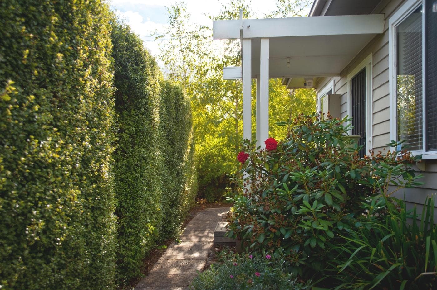17 Stanbridge Street, Daylesford, VIC, Daylesford - Image 1