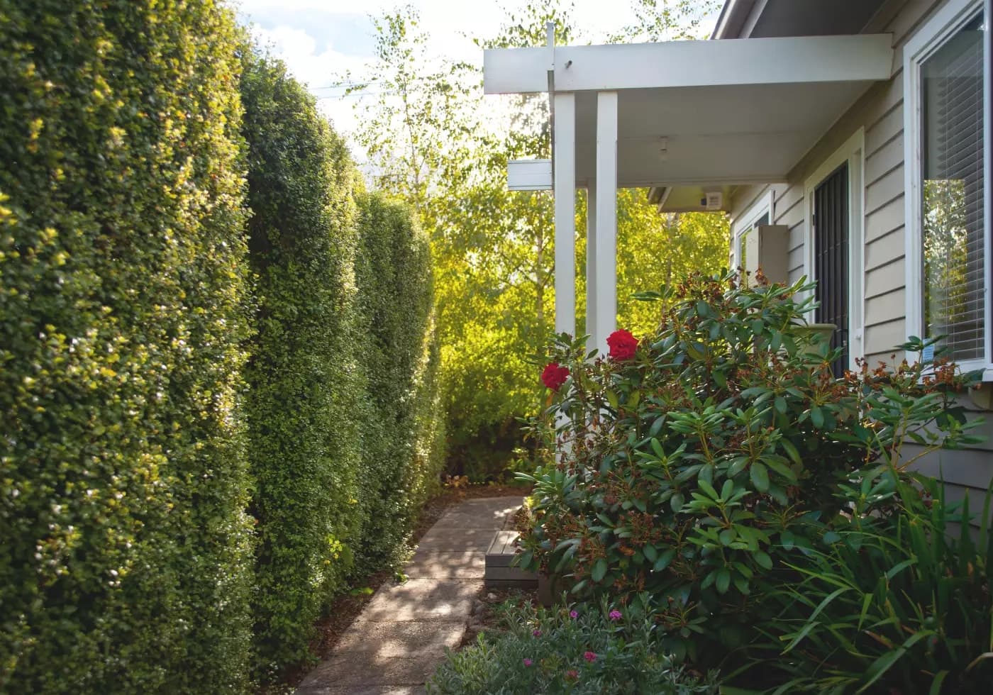 17 Stanbridge Street, Daylesford, VIC, Daylesford - Thumbnail 2