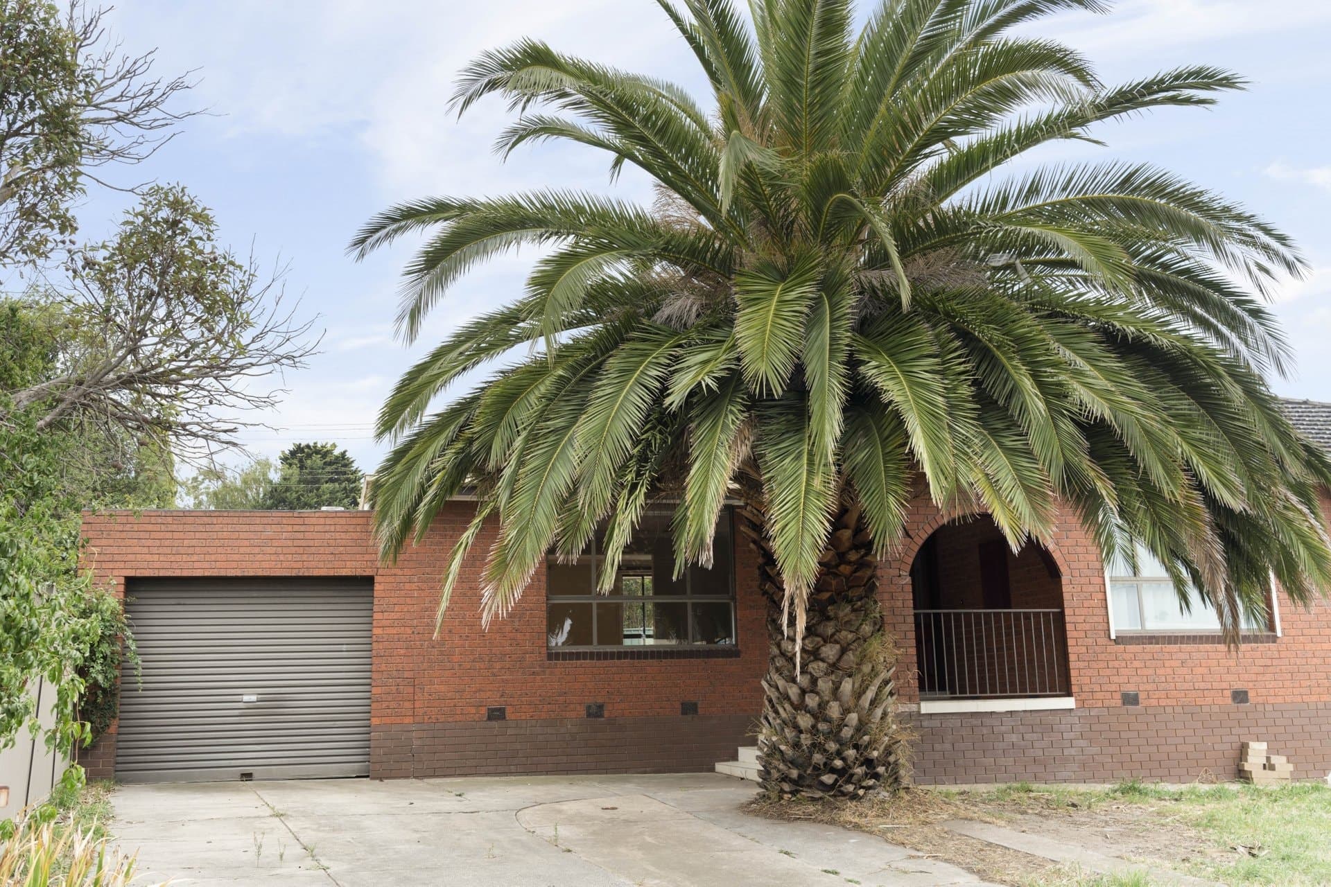 8 Vineyard Rd, Sunbury - Thumbnail 7