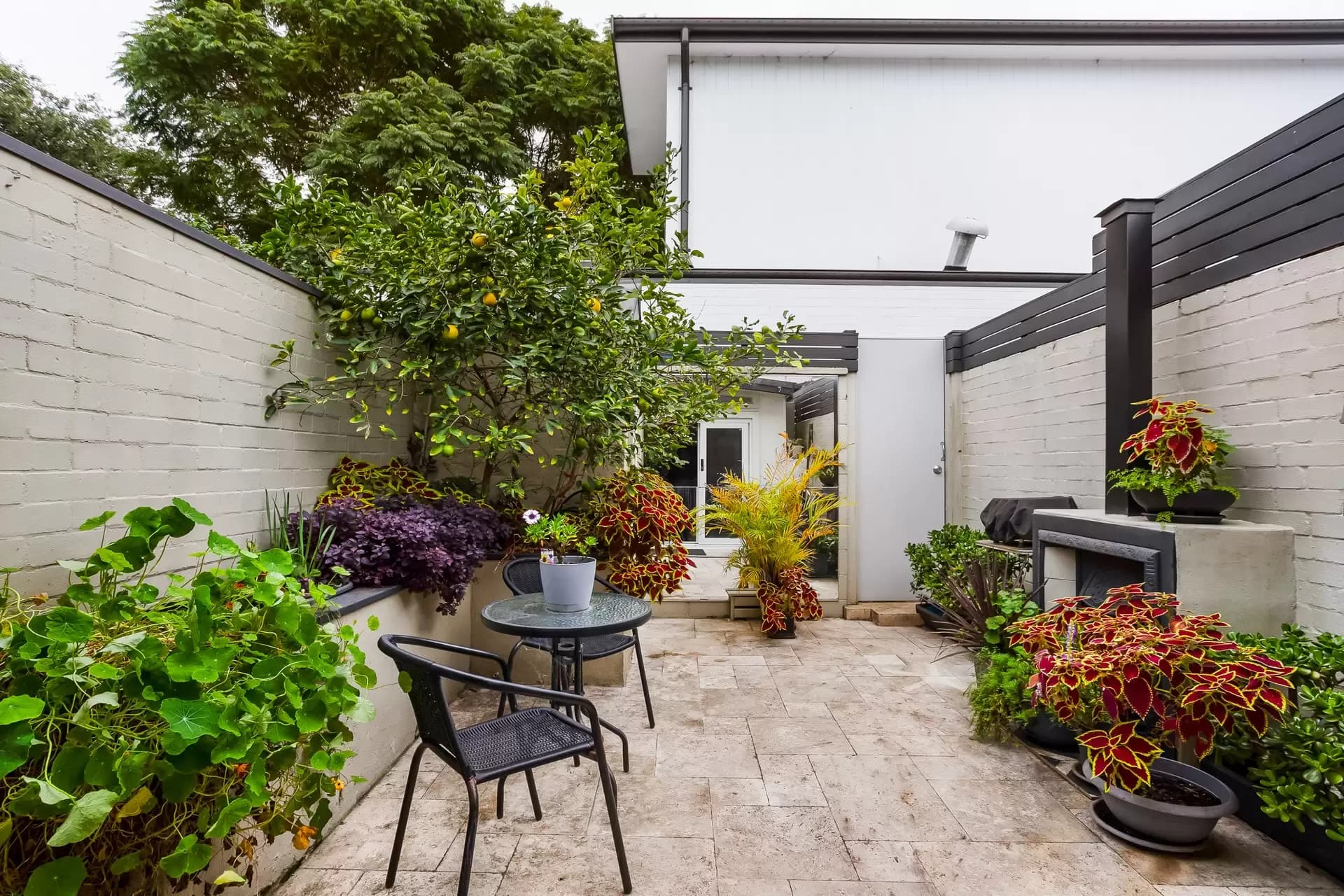 67 Camden Street, Enmore - Thumbnail 3