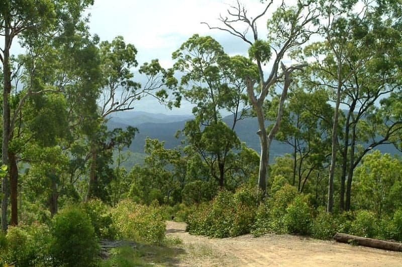 137 Austinville Road, Austinville - Thumbnail 2