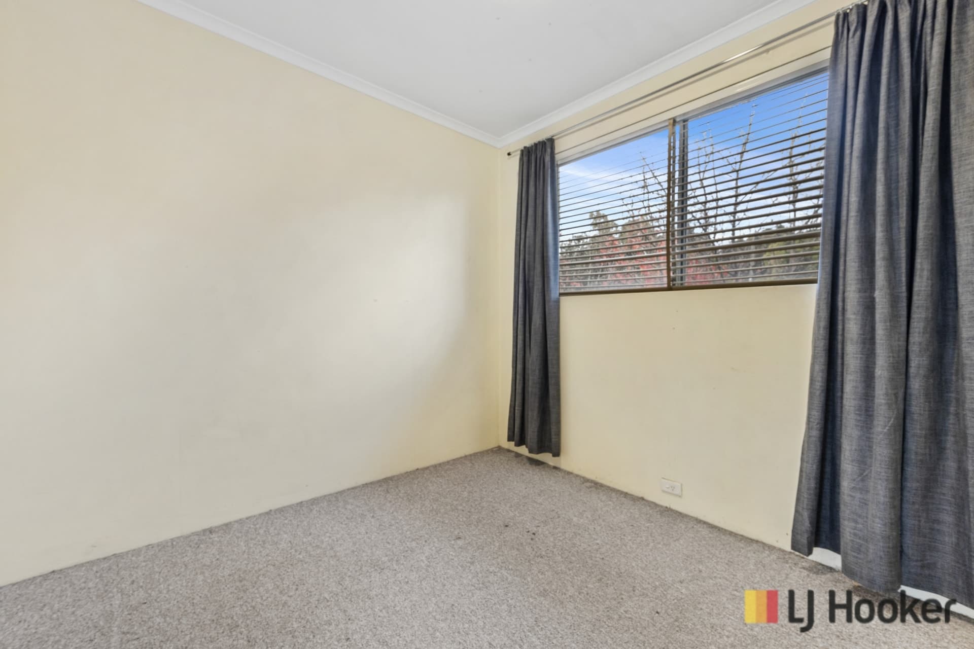 16/4 Wilkins Street, Mawson, Mawson - Thumbnail 6
