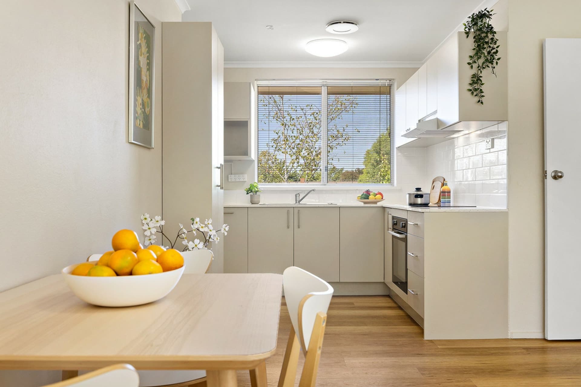 29/2-4 Clianthus Street, O'Connor, O'Connor - Thumbnail 2