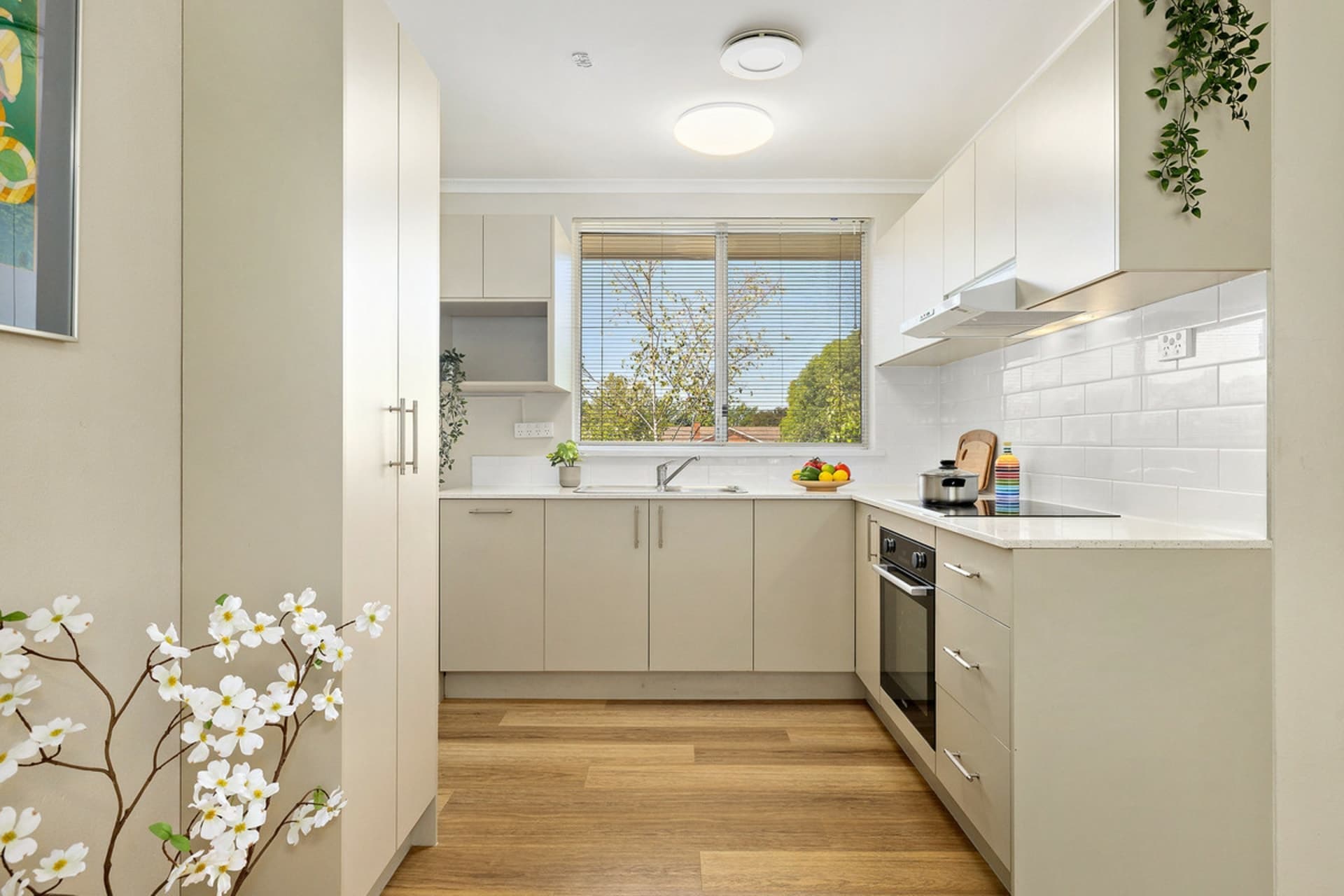 29/2-4 Clianthus Street, O'Connor, O'Connor - Thumbnail 3