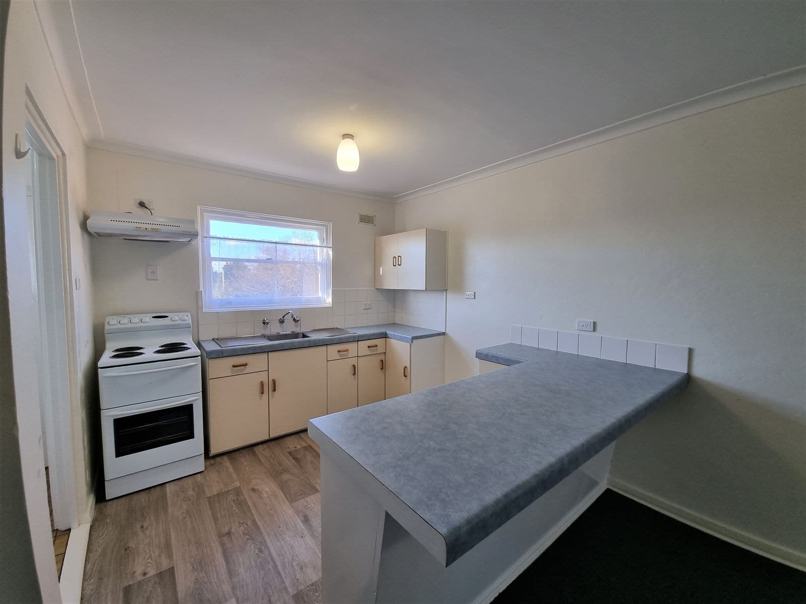 4/165 Dangar Street, Armidale NSW 2350, Armidale - Thumbnail 4