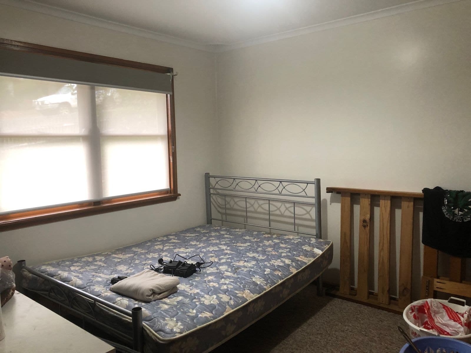 105 Kentucky Street, Armidale NSW 2350, Armidale - Thumbnail 4