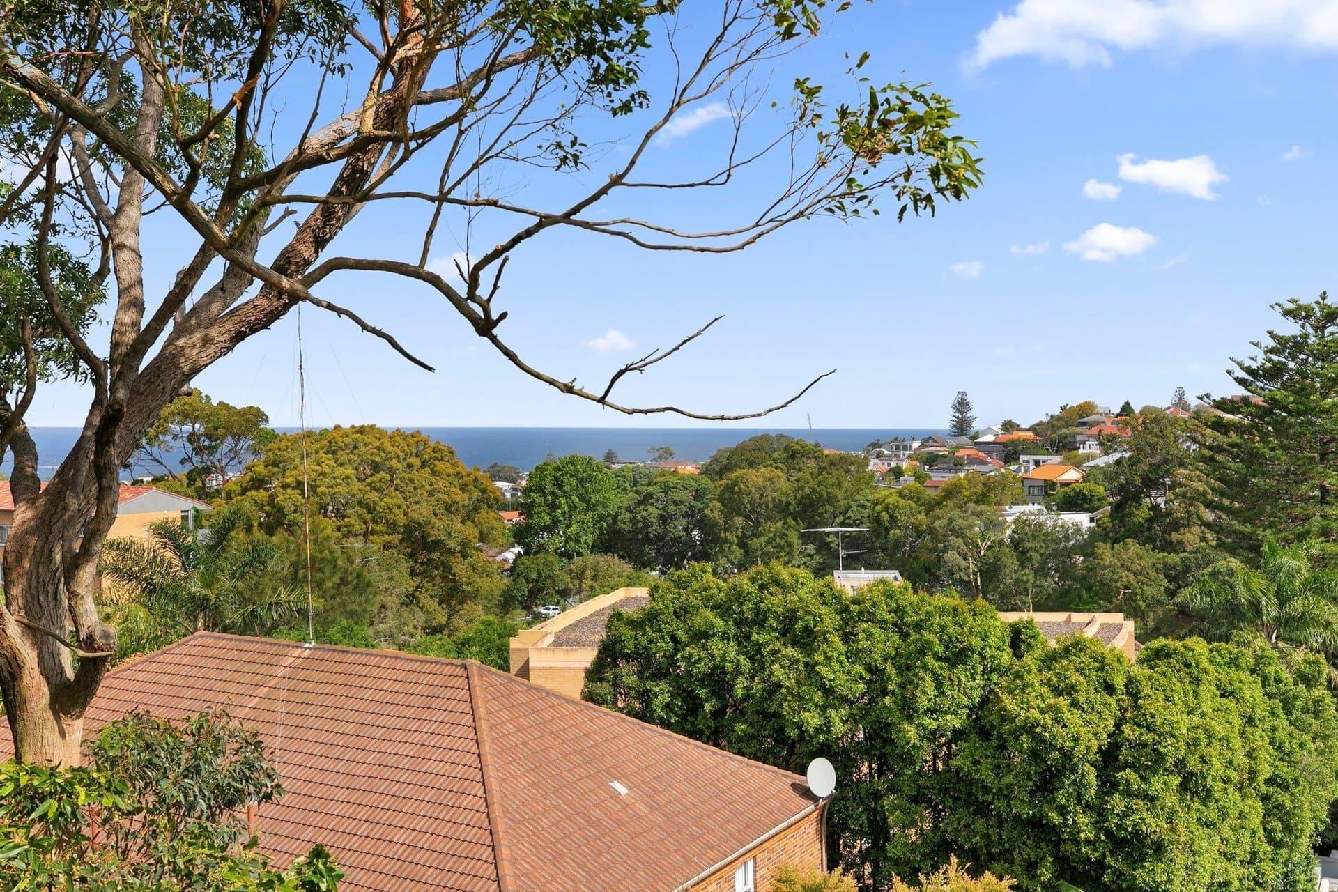 1-16/25 Macpherson Street, Waverley - Thumbnail 7