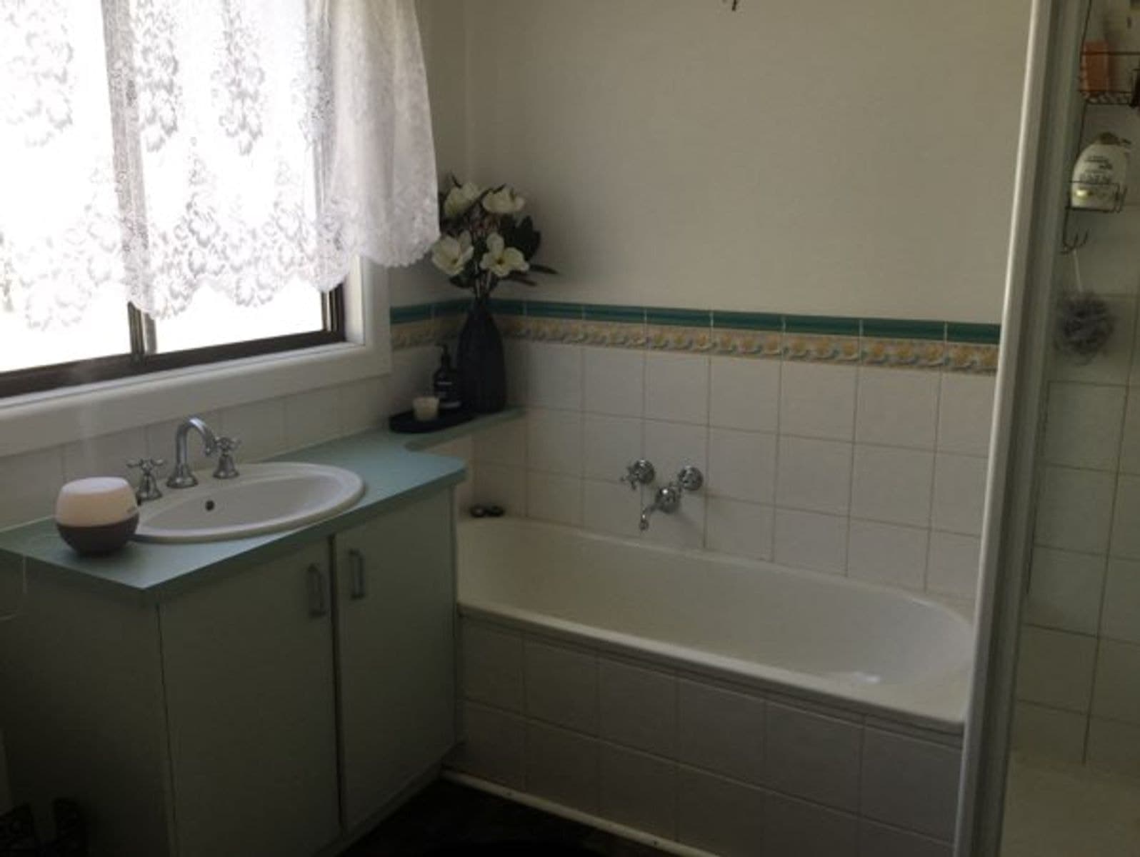 171 Tenth Street, Mildura VIC 3500, Mildura - Thumbnail 4