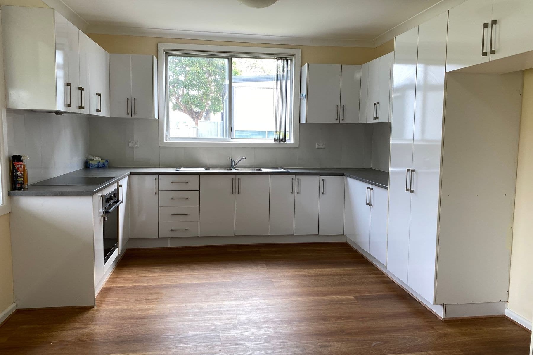 3B Dudley Street, Auburn NSW 2144, Auburn - Thumbnail 2