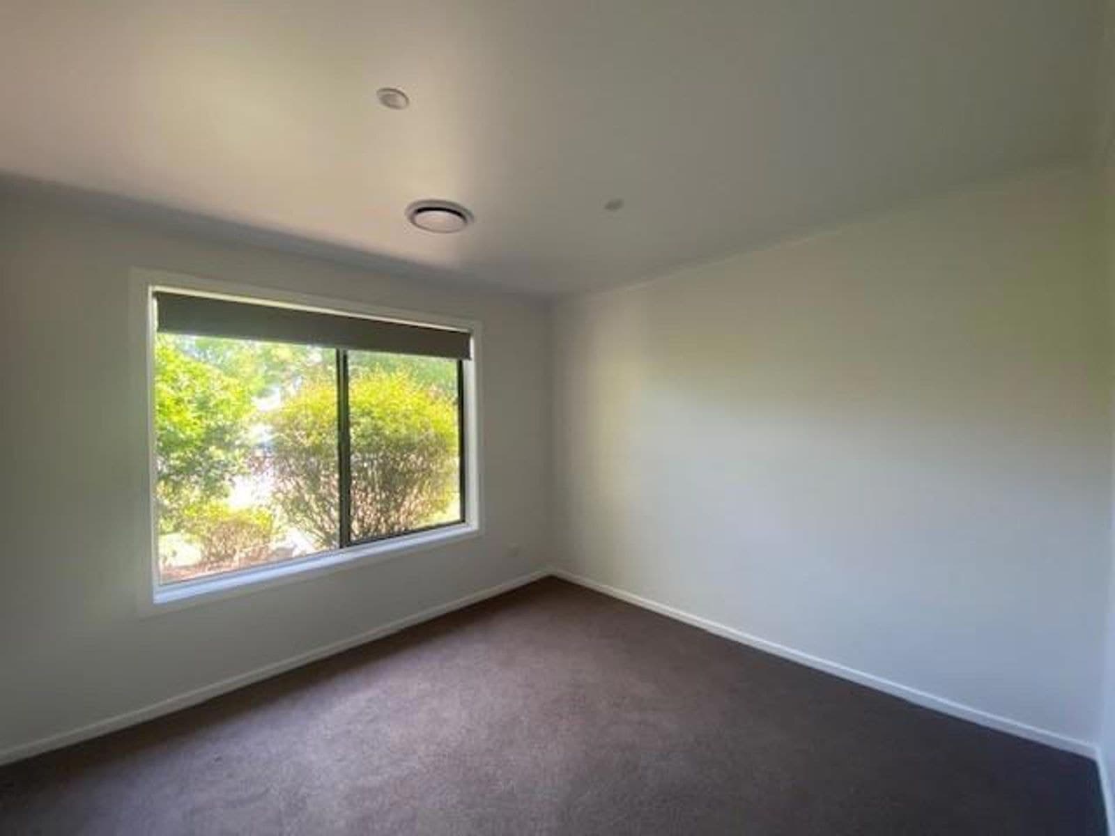 3 Mellish Street, Beechworth VIC 3747, Beechworth - Thumbnail 7