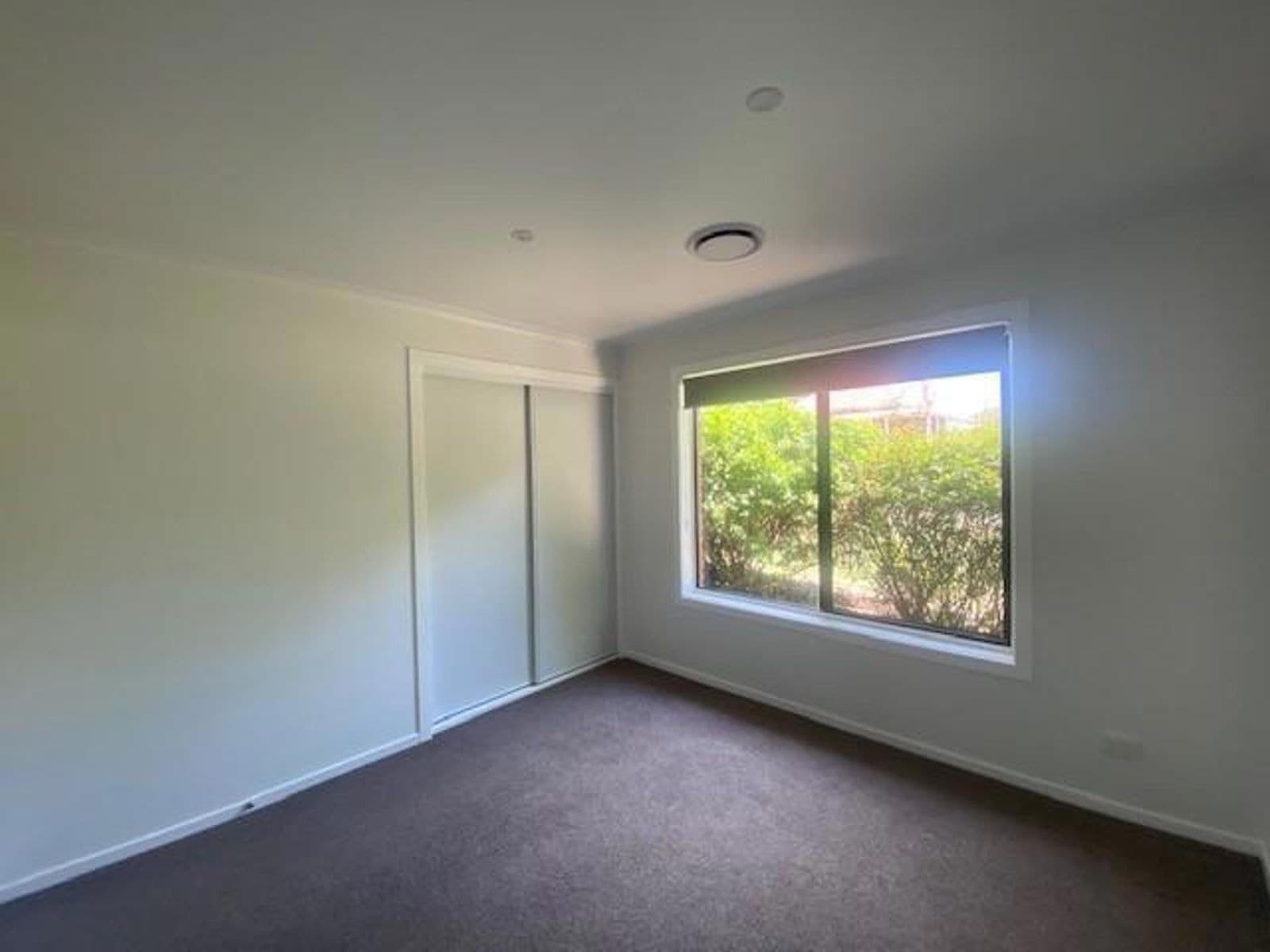 3 Mellish Street, Beechworth VIC 3747, Beechworth - Thumbnail 8