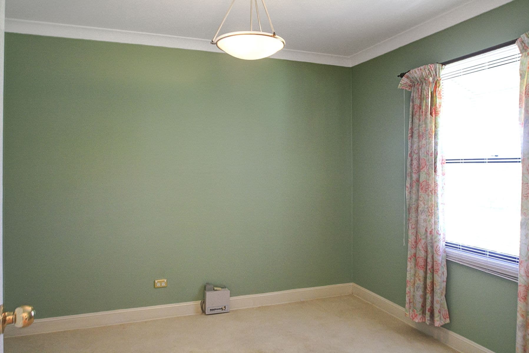 87 Carrington Street, Horseshoe Bend NSW 2320, Horseshoe Bend - Thumbnail 2