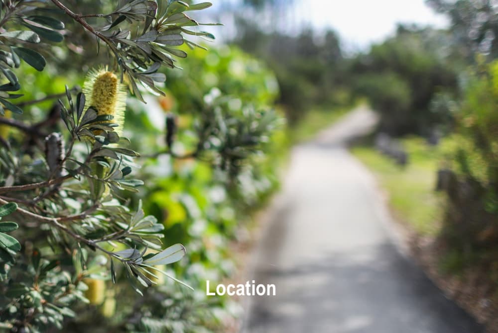 6 Seaspray Close, Wooli, NSW 2462, Wooli - Thumbnail 8